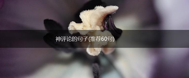 神评论的句子(推荐60句),第1张