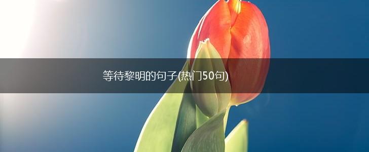 等待黎明的句子(热门50句),第1张