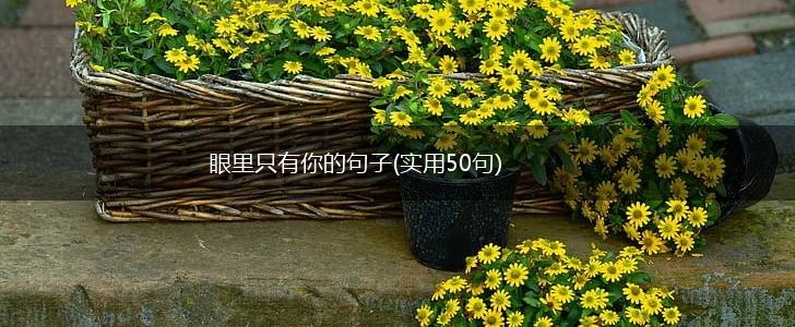眼里只有你的句子(实用50句),第1张