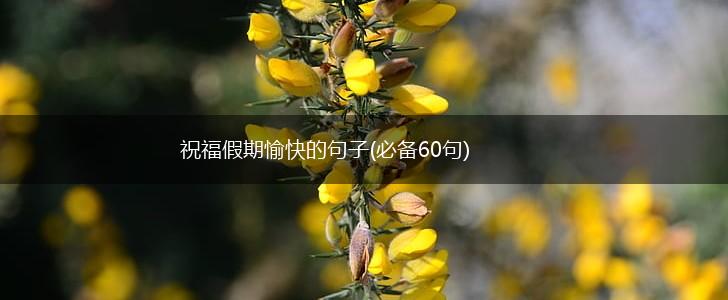 祝福假期愉快的句子(必备60句),第1张