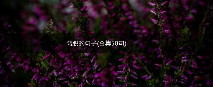 离职的句子(合集50句),第1张