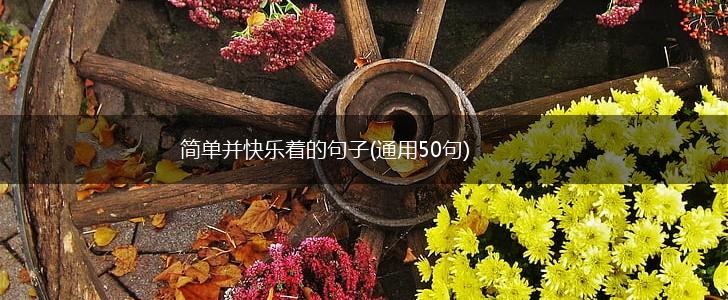 简单并快乐着的句子(通用50句),第1张