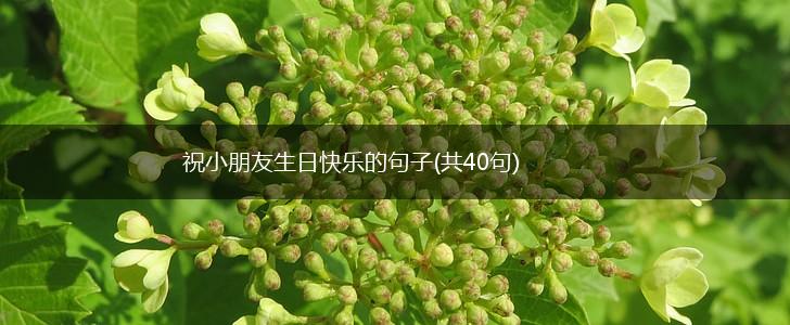 祝小朋友生日快乐的句子(共40句),第1张