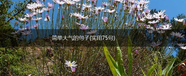 简单大气的句子(实用75句),第1张
