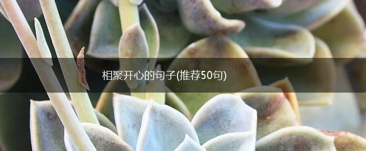 相聚开心的句子(推荐50句),第1张