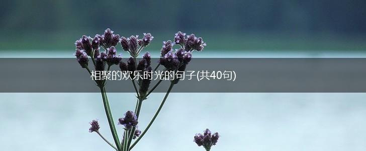 相聚的欢乐时光的句子(共40句),第1张