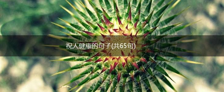 祝人健康的句子(共65句),第1张