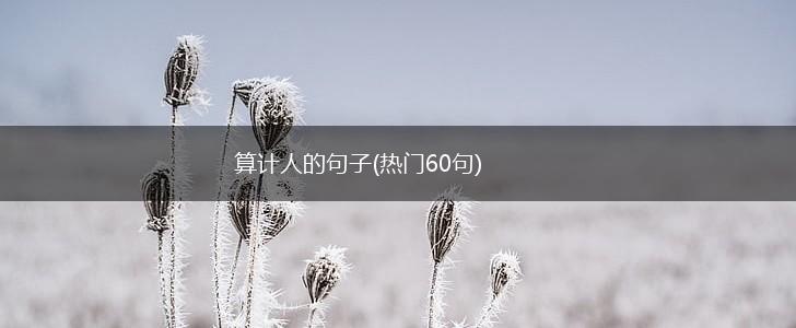 算计人的句子(热门60句),第1张