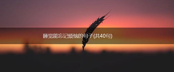睡觉能忘记烦恼的句子(共40句),第1张