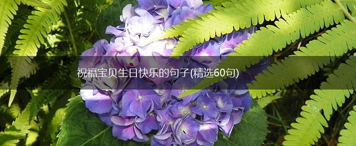 祝福宝贝生日快乐的句子(精选60句),第1张