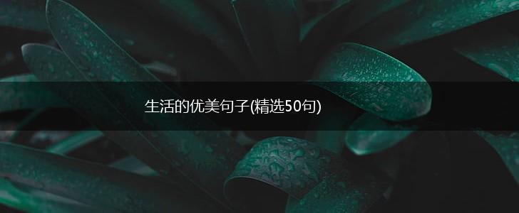 生活的优美句子(精选50句),第1张