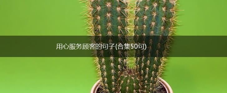 用心服务顾客的句子(合集50句),第1张