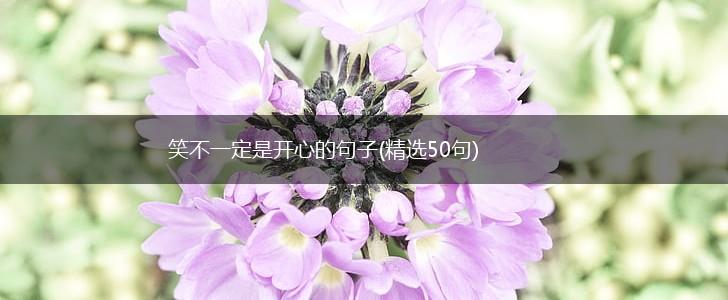 笑不一定是开心的句子(精选50句),第1张