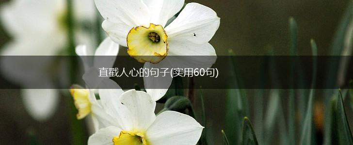 直戳人心的句子(实用60句),第1张
