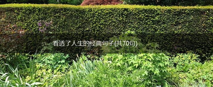 看透了人生的经典句子(共70句),第1张