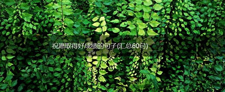 祝愿取得好成绩的句子(汇总60句),第1张