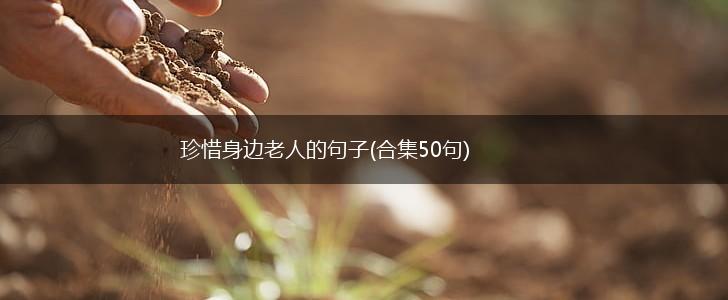 珍惜身边老人的句子(合集50句),第1张
