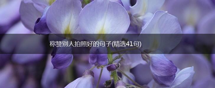 称赞别人拍照好的句子(精选41句),第1张