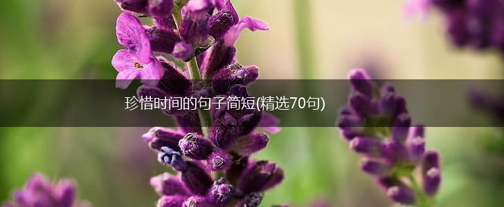 珍惜时间的句子简短(精选70句),第1张