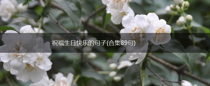 祝福生日快乐的句子(合集89句),第1张