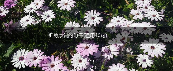 祈祷康复的句子(通用40句),第1张