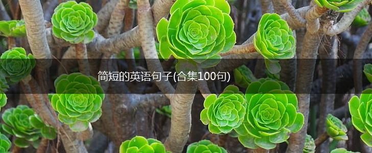 简短的英语句子(合集100句),第1张