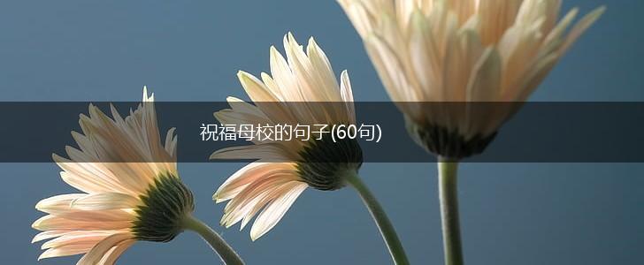 祝福母校的句子(60句),第1张