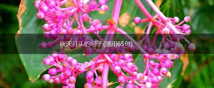 秋天开头的句子(通用65句),第1张