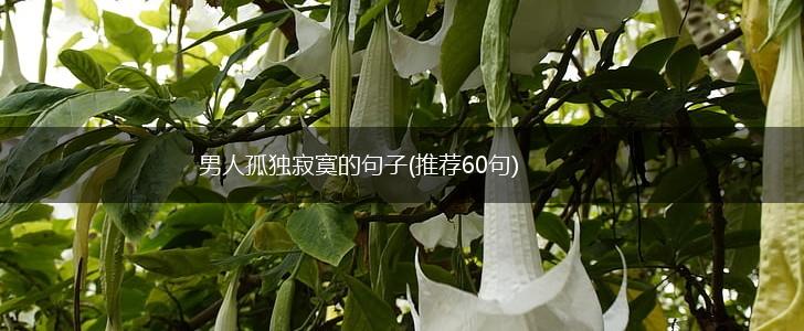 男人孤独寂寞的句子(推荐60句),第1张