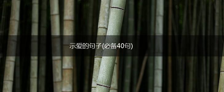 示爱的句子(必备40句),第1张