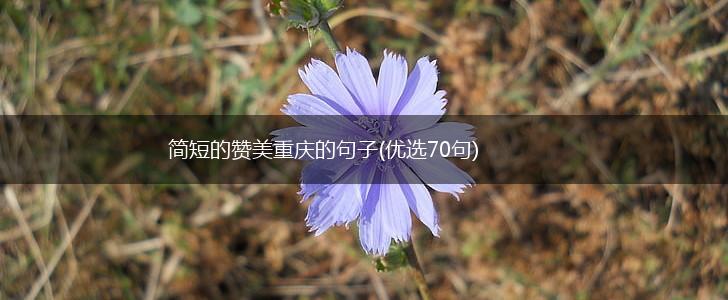 简短的赞美重庆的句子(优选70句),第1张