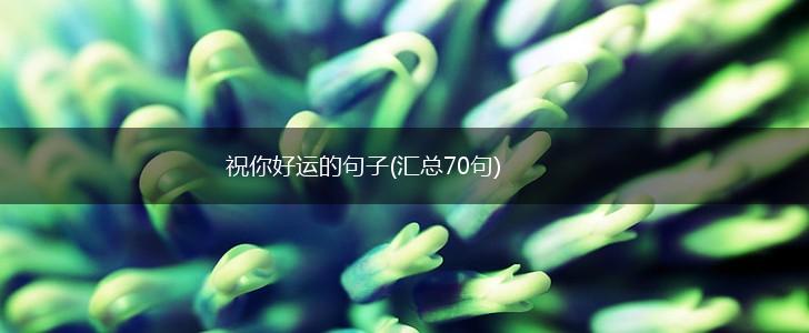 祝你好运的句子(汇总70句),第1张
