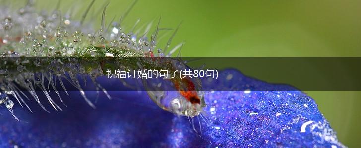 祝福订婚的句子(共80句),第1张