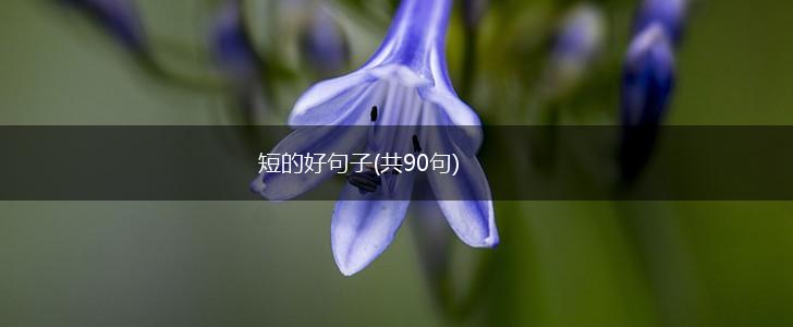 短的好句子(共90句),第1张