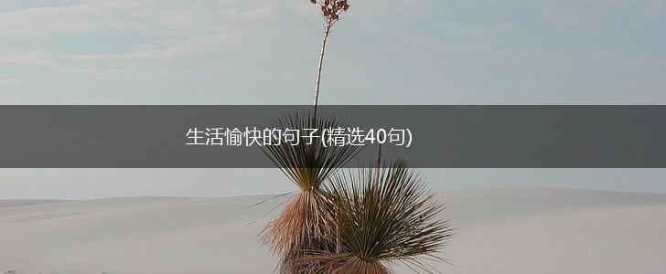 生活愉快的句子(精选40句),第1张