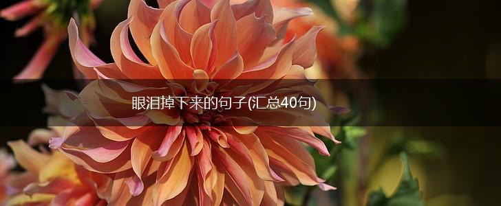 眼泪掉下来的句子(汇总40句),第1张