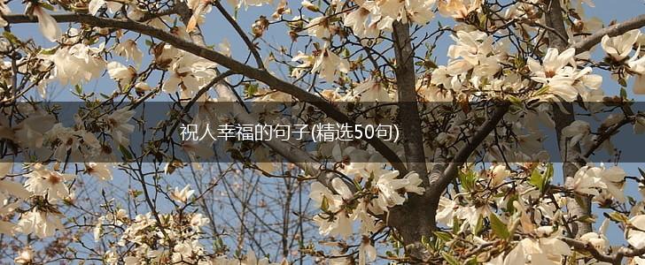 祝人幸福的句子(精选50句),第1张