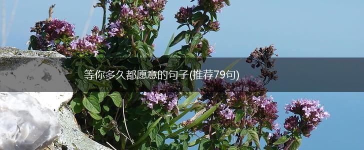 等你多久都愿意的句子(推荐79句),第1张