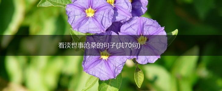 看淡世事沧桑的句子(共70句),第1张