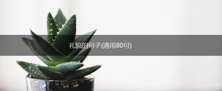 礼貌的句子(通用80句),第1张