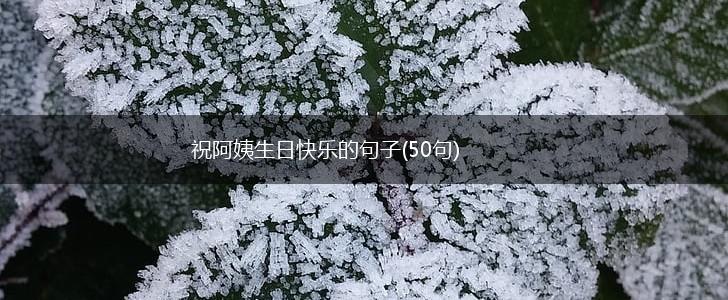 祝阿姨生日快乐的句子(50句),第1张