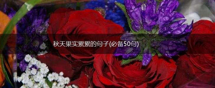 秋天果实累累的句子(必备50句),第1张