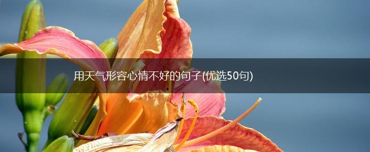 用天气形容心情不好的句子(优选50句),第1张