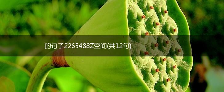 的句子2265488Z空间(共12句),第1张