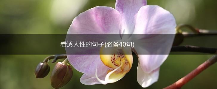 看透人性的句子(必备40句),第1张