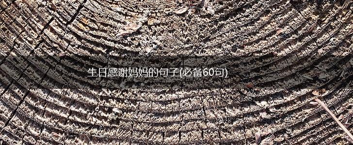 生日感谢妈妈的句子(必备60句),第1张