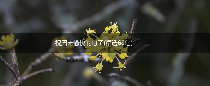 祝周末愉快的句子(精选68句),第1张