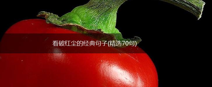 看破红尘的经典句子(精选70句),第1张