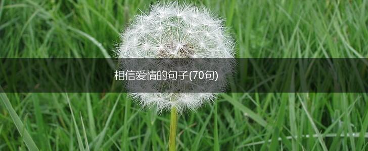 相信爱情的句子(70句),第1张