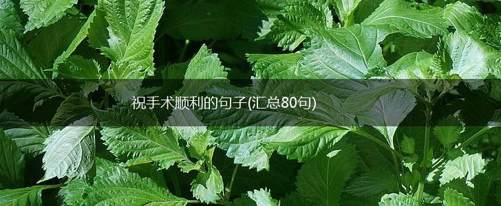 祝手术顺利的句子(汇总80句),第1张
